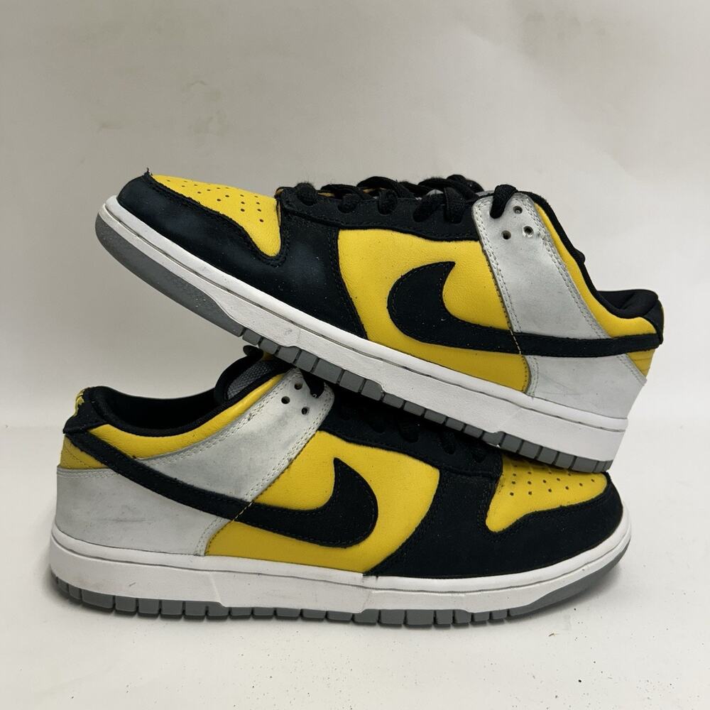 Nike SB Dunk Low Pro “BIC” 304292-701
